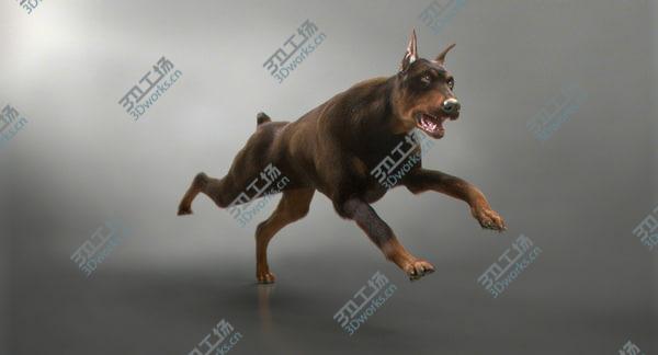 images/goods_img/20210312/3D Doberman with Fur (Rigged) model/2.jpg